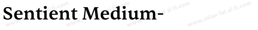 Sentient Medium字体转换